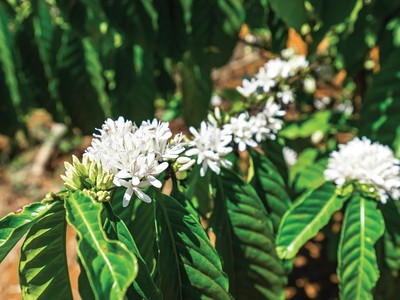 [Góc banker] Tình yêu nơi biên giới