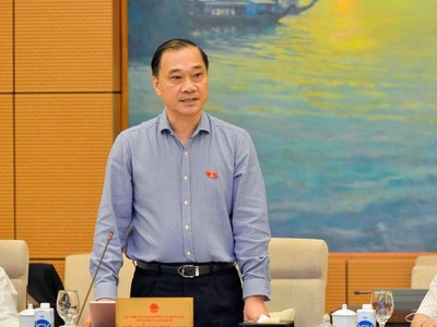 Chủ nhiệm Ủy ban Kinh tế Vũ Hồng Thanh tại phiên họp (Ảnh Quochoi.vn).