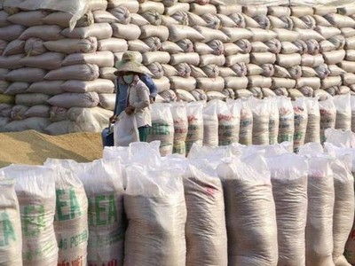 Bộ Công Thương vừa thành lập Đoàn công tác kiểm tra việc thi hành pháp luật đối với các thương nhân kinh doanh xuất nhập khẩu gạo