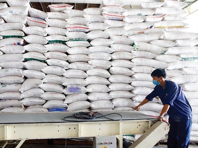 Gạo Việt xuất khẩu ngày càng khẳng định chất lượng, cần kiểm soát chặt gạo nhập khẩu để tránh giả mạo xuất xứ. Ảnh: ĐT