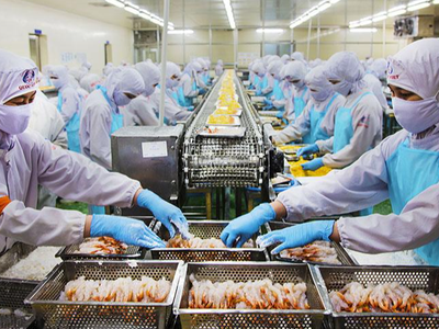 Chế biến thủy sản xuất khẩu Cà Mau vẫn tăng trưởng trong thử thách thiên tai và dịch bệnh