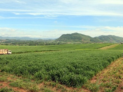 Quá trình tập trung, tích tụ đất nông nghiệp được đánh giá là còn chậm, chưa đáp ứng yêu cầu phát triển nông nghiệp hàng hóa quy mô lớn. Ảnh: Đức Thanh