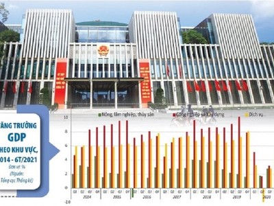 Nỗ lực ổn định kinh tế vĩ mô, xây dựng thể chế có chất lượng cao, tạo môi trường đầu tư, kinh doanh thuận lợi sẽ giúp các doanh nghiệp hoạt động trong nhiều lĩnh vực chủ động ứng phó với tình hình mới, duy trì đà tăng trưởng. Ảnh: Đức Thanh. Đồ họa: Đan Nguyễn 