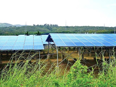 “Cơn lốc” điện mặt trời quét qua, quy hoạch đất đai bị phá nát - Bài 1: “Mọc” trên đất nông nghiệp, “ký sinh” trong khu công nghiệp