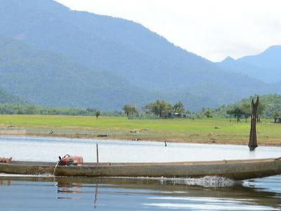 Khu vực bán ngập lòng hồ Sông Hinh nằm trong diện tích đất dự án chăn nuôi bò chất lượng cao Phú Yên từng đề xuất