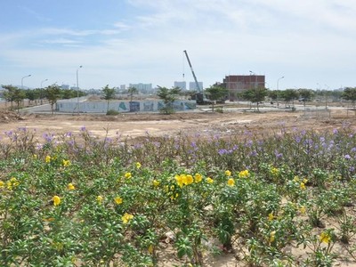 Sở Tài nguyên và Môi trường Đà Nẵng sẽ chấn chỉnh hoạt động các chi nhánh Văn phòng đăng ký đất đai.