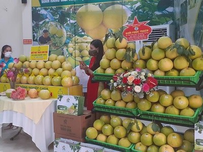 Mặc dù đã vào vụ thu hoạch nhưng vựa bưởi Phúc Trạch tại Hương Khê, Hà Tĩnh gặp khó bởi các thị trường tiêu thụ phải tuân thủ nghiêm ngặt chỉ thị chống dịch Covid-19.