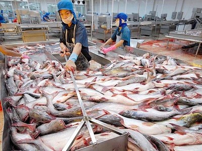 Nghịch lý nhập siêu từ Campuchia