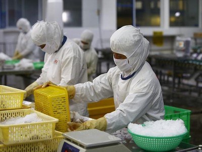 Các doanh nghiệp mong có được các giải pháp hỗ trợ quyết liệt, mạnh mẽ hơn nữa.