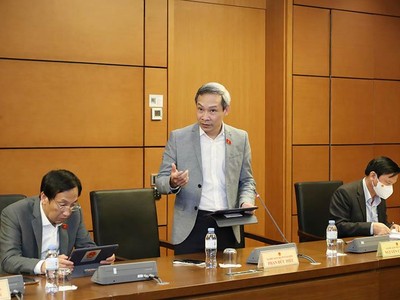 Đại biểu Phan Đức Hiếu, Ủy viên Thường trực Ủy ban Kinh tế của Quốc hội thảo luận về Kế hoạch Cơ cấu lại nền kinh tế giai đoạn 2021 - 2025. Ảnh: Duy Linh