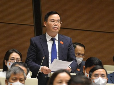 Đại biểu Trần Văn Khải (Hà Nam) phát biểu tại hội trường. 