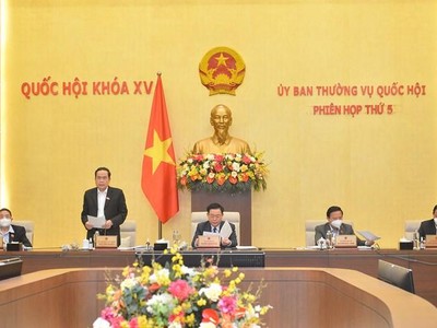 Phó chủ tịch Quốc hội Trần Thanh Mẫn điều hành phiên thảo luận.