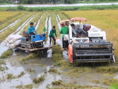 Lộc Trời góp 56 tỷ đồng thành lập công ty cây giống