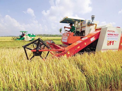 Làm nên kỳ tích xuất siêu và lập đỉnh xuất khẩu trong năm 2021, nông nghiệp tiếp tục là điểm tựa vững chắc của nền kinh tế năm 2022