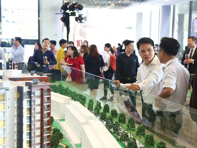 Nhà đầu tư mới tham gia thị trường sẽ không khỏi bỡ ngỡ