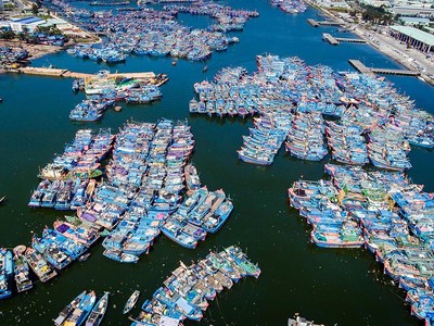 Âu thuyền và cảng cá Thọ Quang - Đà Nẵng (Ảnh Hải Sơn/VOV).