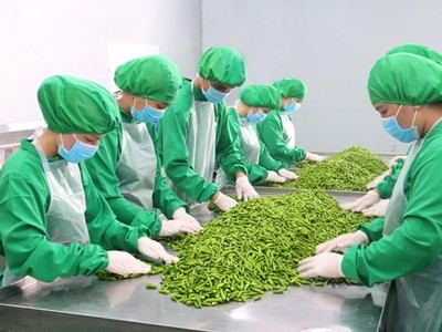 Dh Foods đang sở hữu hơn 150 sản phẩm với đầy đủ những loại gia vị tự nhiên, chấm, nấu, ướp... từ phổ biến đến đặc sản từng vùng miền.