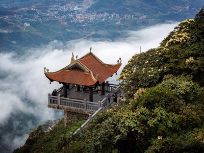 Hoa đỗ quyên nở rộ trên đỉnh Fansipan đúng dịp 30/4-1/5