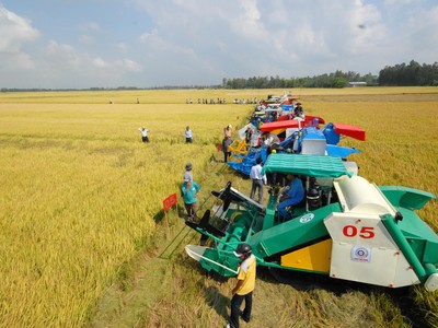 Sau khi có Nghị quyết 120 NQ-CP, các tỉnh cũng như các bộ, ngành đã và chuẩn bị chuyển sang giai đoạn thuận theo thiên nhiên để phát triển Đồng bằng sông Cửu Long, đi tới kinh tế nông nghiệp. Ảnh: Lê Toàn