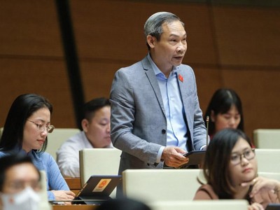 Đại biểu Phan Đức Hiếu (Thái Bình) tham gia thảo luận.