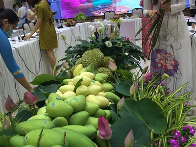 Thương hiệu Xoài Đồng Tháp đang được người tiêu dùng trong và ngoài nước ưa chuộng