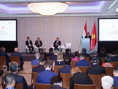 Gần 100 doanh nghiệp Hungary và Việt Nam đã tham dự toạ đàm - (Ảnh: DT).