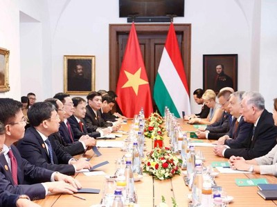 Chủ tịch Quốc hội Vương Đình Huệ hội kiến Thủ tướng Hungary Viktor Orban..