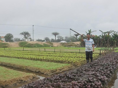 Quảng Nam đề nghị chuyển đổi hơn 30 ha đất lúa, đất rừng phòng hộ