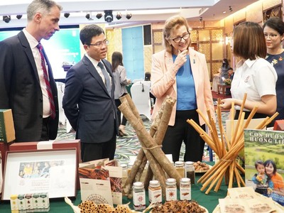 20/29 các doanh nghiệp tạo tác động xã hội nhận được hỗ trợ của dự án do phụ nữ làm chủ.