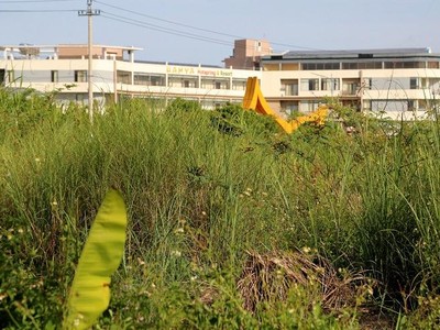 Sau gần 3 năm hoạt động, đến ngày 7/7/2022, Khu du lịch Nghĩa Thuận mới được UBND tỉnh Quảng Ngãi ký quyết định cho chuyển mục đích sử dụng 100.889,2m2 đất nông nghiệp và phi nông nghiệp. Ảnh: Thanh Chung