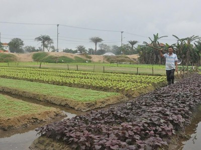 Khu đô thị Ngân Câu Villa của Công ty Thái Dương được hơn 63.000m2. tỉnh Quảng Nam giao đất đợt 1