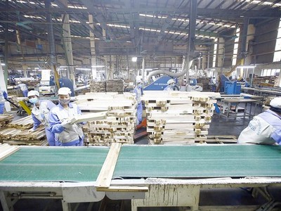 Các doanh nghiệp ngành gỗ gặp khó khăn khi dòng tiền cạn, quy trình hoàn thuế VAT phức tạp và kéo dài. Ảnh: Đức Thanh