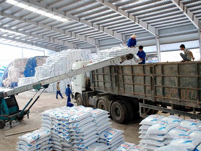 Doanh nghiệp ngành giấy xin… nộp thuế GTGT thay cho các đầu mối thu mua.