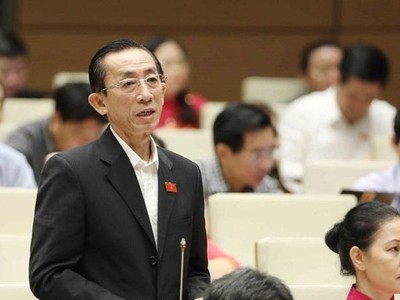  ĐBQH Trần Hoàng Ngân, Đoàn ĐBQH TP.HCM