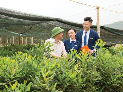 Hạnh phúc từ những điều giản dị