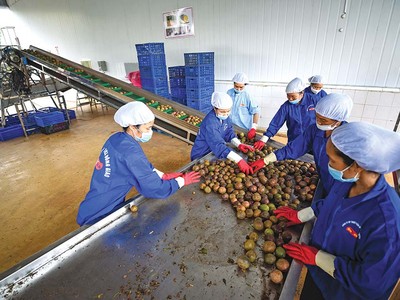 Hàng hóa Việt Nam được xuất khẩu sang hơn 200 thị trường trên toàn cầu