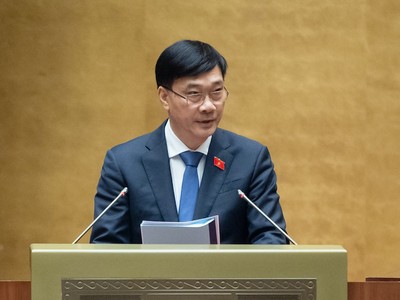 Chủ nhiệm Ủy ban Kinh tế của Quốc hội Vũ Hồng Thanh.