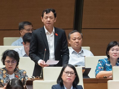 Đại biểu Nguyễn Tri Thức phát biểu đầu tiên sáng 1/11.