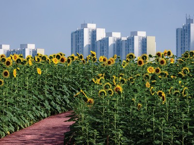 Triển khai dự án luôn cần nguồn vốn lớn. Ảnh: Dũng Minh 