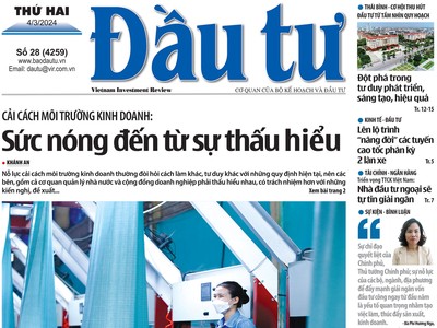 Báo Đầu tư số 28