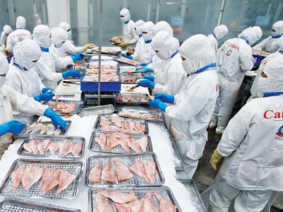 Xuất khẩu của Việt Nam tăng trưởng khá trong 7 tháng đầu năm, trong đó ngành thủy sản đóng góp đáng kể Ảnh: Đức Thanh