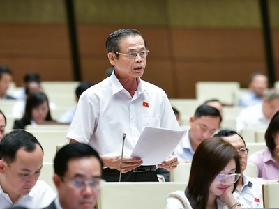 Đại biểu Trần Hữu Hậu phát biểu tại hội trường.