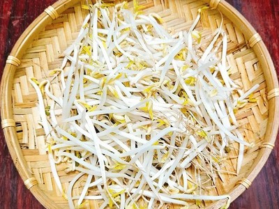 Thứ trưởng Bộ Công thương: Vụ 3.000 tấn giá đỗ ủ hóa chất không thuộc trách nhiệm Bộ Công thương