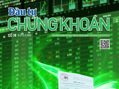 Báo Đầu tư Chứng khoán số 14