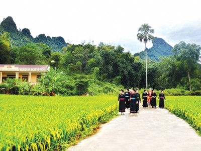Kịp thời hướng dẫn, tháo gỡ khó khăn trong triển khai các chương trình mục tiêu quốc gia