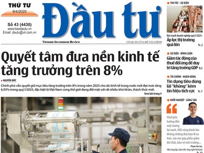 Báo Đầu tư số 43