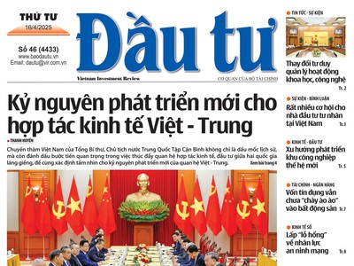 Báo Đầu tư số 46