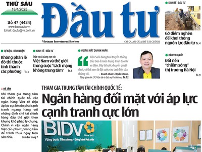 Báo Đầu tư số 47