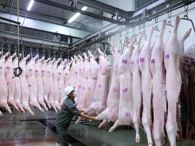 Chủ tịch Hà Nội chỉ thị tăng cường quản lý, kiểm soát giết mổ động vật