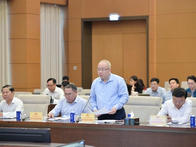 Thứ trưởng Bộ Tài chính Đỗ Thành Trung báo cáo tại phiên họp. Ảnh: HL